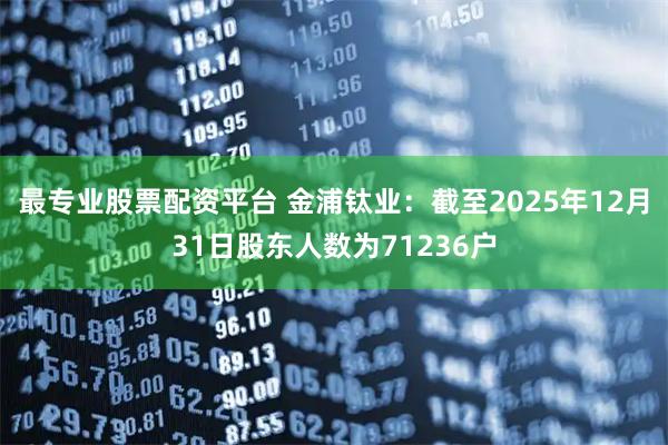 最专业股票配资平台 金浦钛业：截至2025年12月31日股东人数为71236户