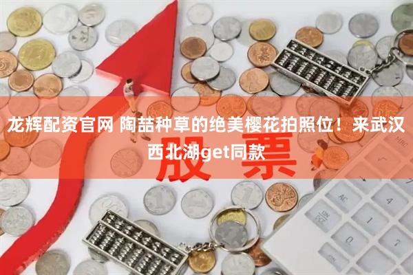 龙辉配资官网 陶喆种草的绝美樱花拍照位！来武汉西北湖get同款